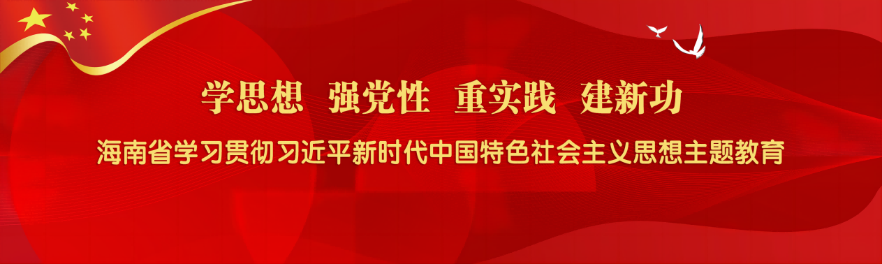 海南省学习贯彻习近平新时代中国特色社会主义思想主题教育