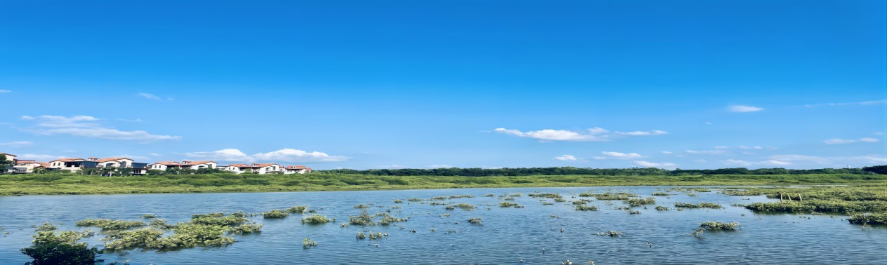 养殖水域滩涂