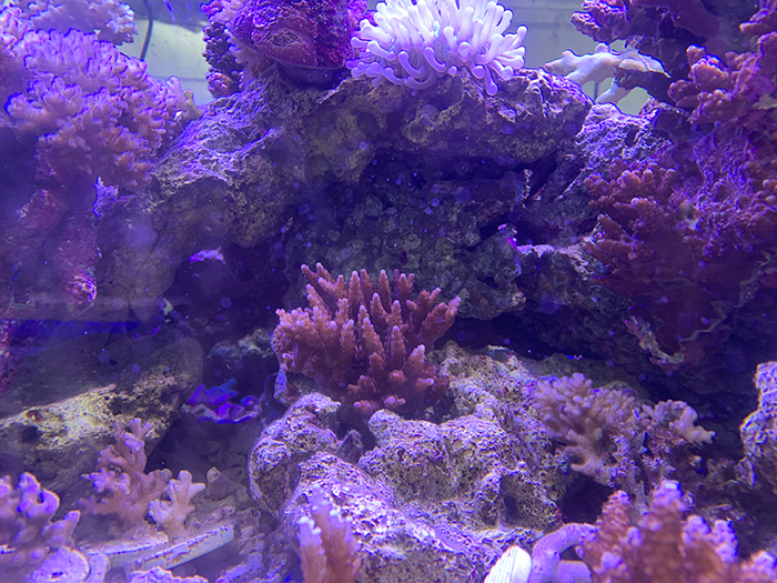 实验室二