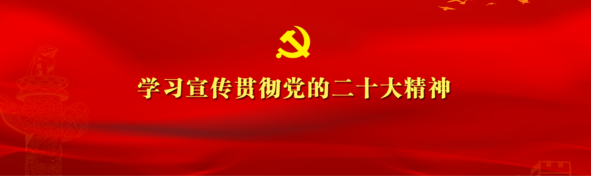 学习宣传贯彻党的二十大精神